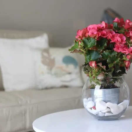 Διαμέρισμα Seashell Romantic - Balcony With Ocean View & Pool
