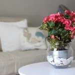 Daire Seashell Romantic - Balcony With Ocean View & Pool
