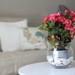 Seashell Romantic - Balcony With Ocean View & Pool Daire
